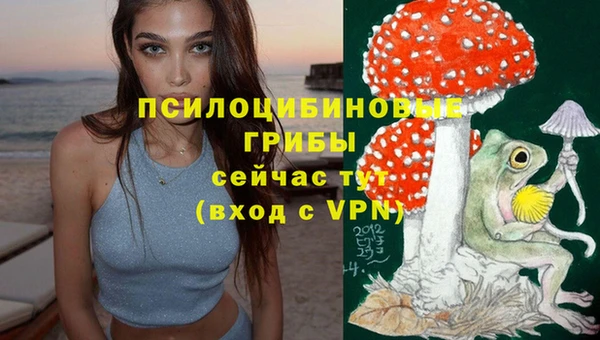 гашик Киреевск