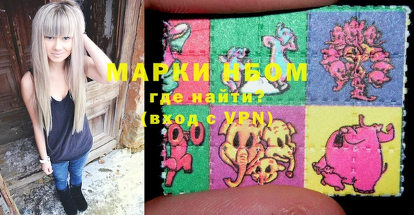 дживик Козельск