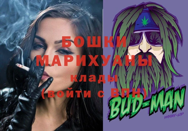 сатива Карпинск
