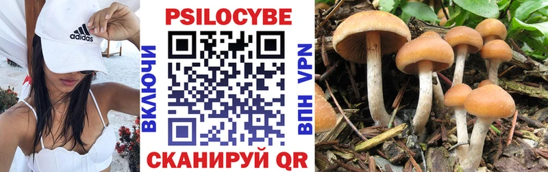 Галлюциногенные грибы Psilocybe Кисловодск
