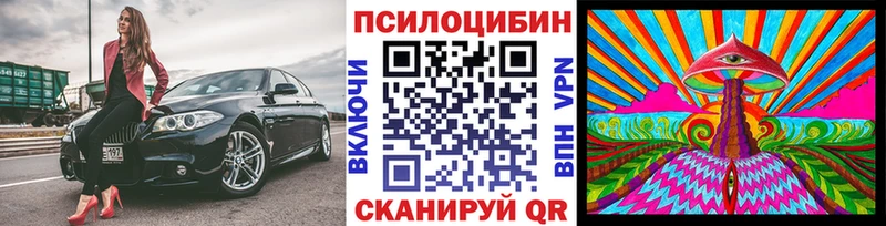 блэк спрут Кисловодск Галлюциногенные грибы Cubensis